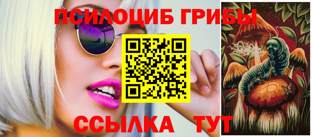 Псилоцибиновые грибы прущие грибы  Вход с VPN  Гатчина  Псилоцибиновые грибы GOLDEN TEACHER 