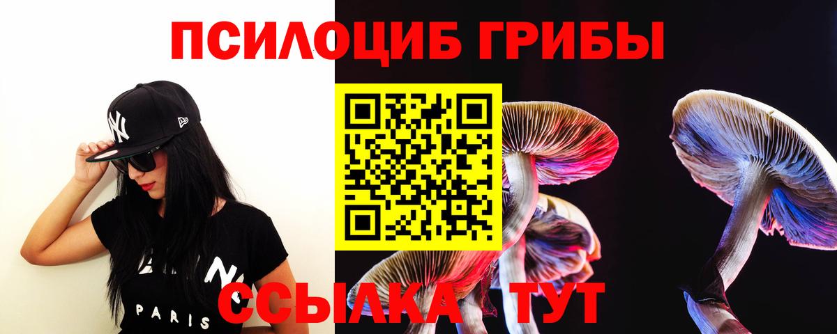 Галлюциногенные грибы ЛСД Гатчина